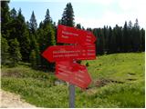 Koča na Pesku - The lake Ribniško jezero